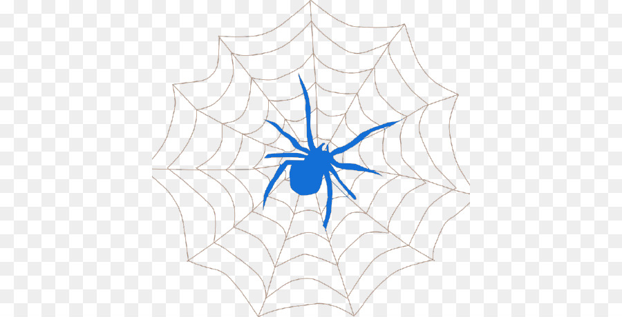 Araignée Veuve Noire，Arachnide PNG