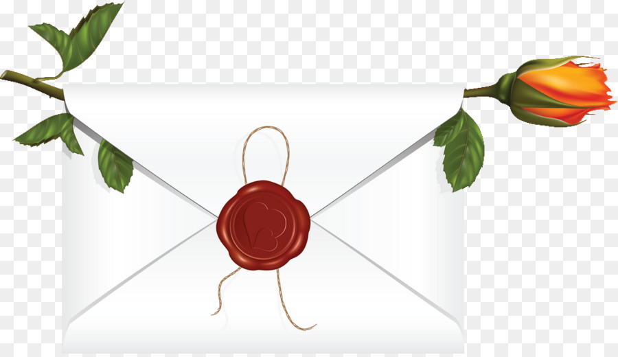 Enveloppe，Rose PNG