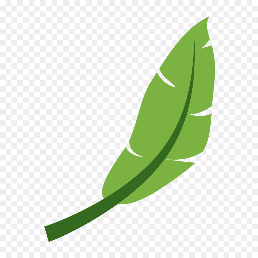 Feuille，Usine PNG