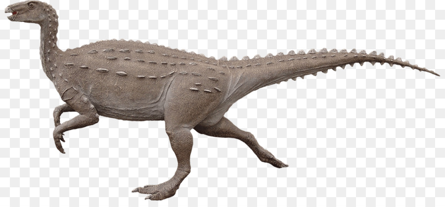 Velociraptor，Moab Géants PNG