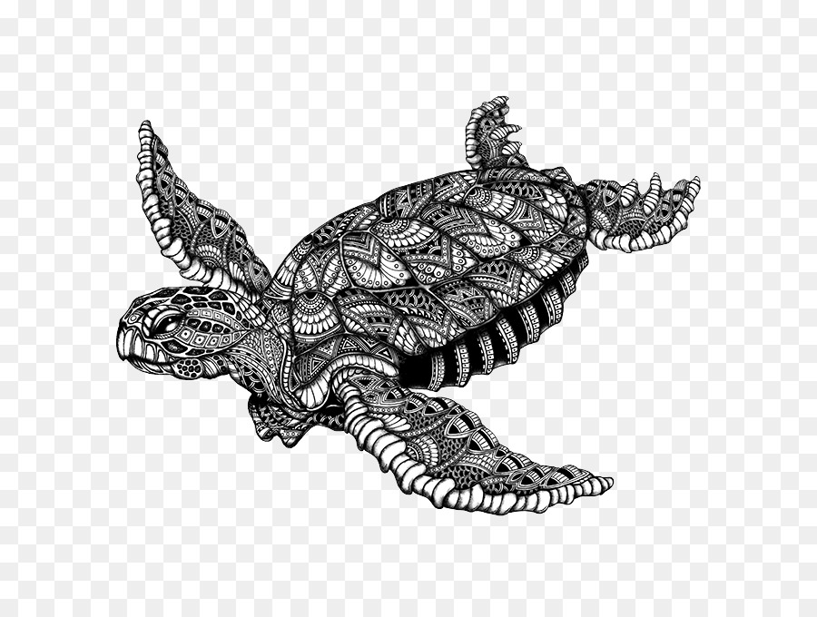 Tortue De Mer，Tortue PNG