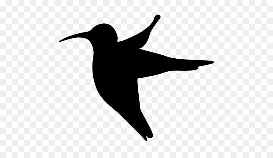 Oiseau Noir，Vol PNG