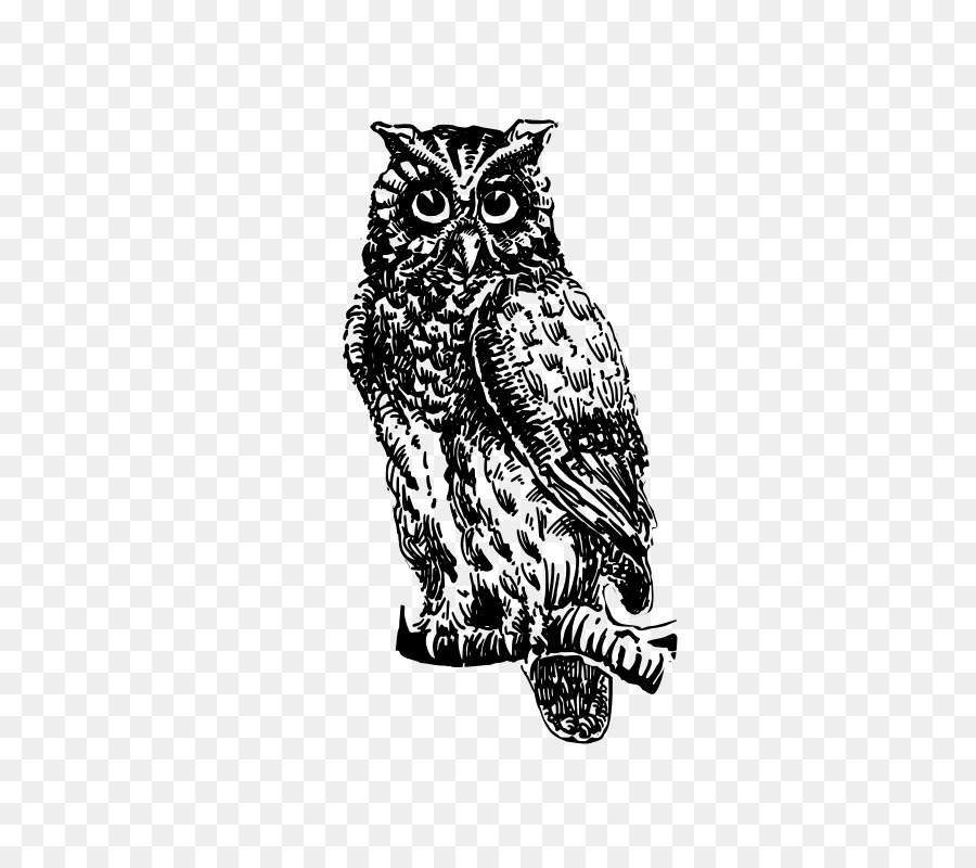 Hibou，Bifurquer PNG