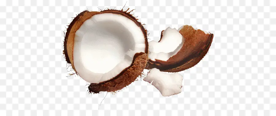 Noix De Coco，Fruit PNG