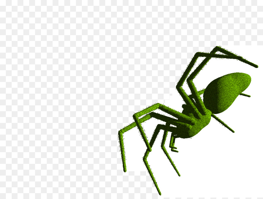 Les Insectes，Ligne PNG