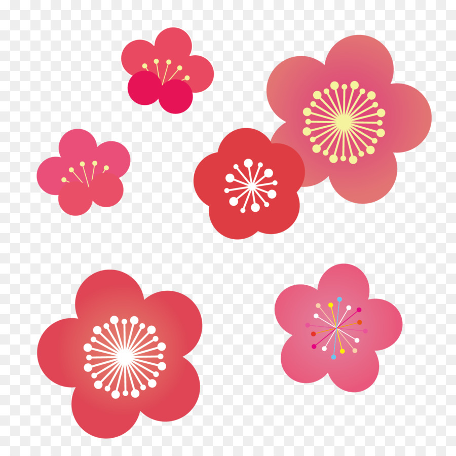 Sapporo，Illustrator PNG