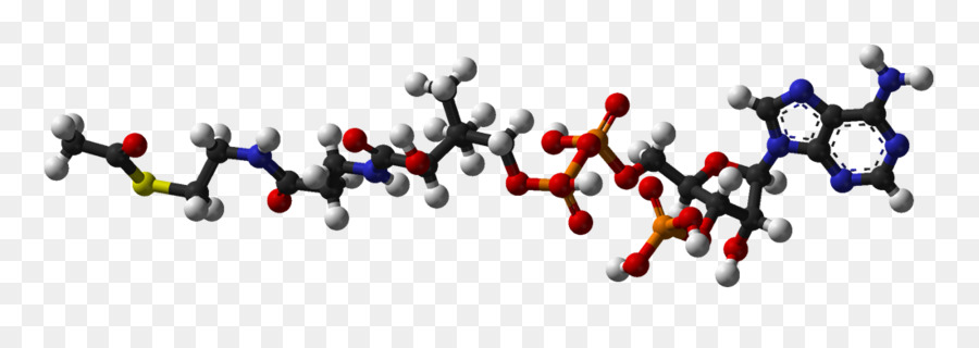 Structure Moléculaire，Molécule PNG