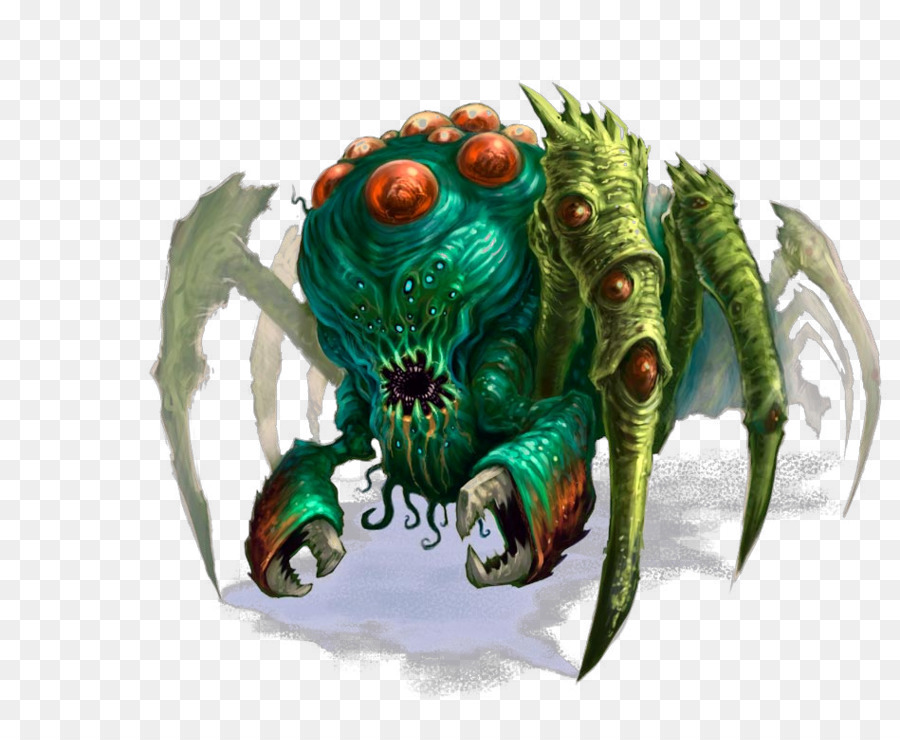 Araignée，Insecte PNG