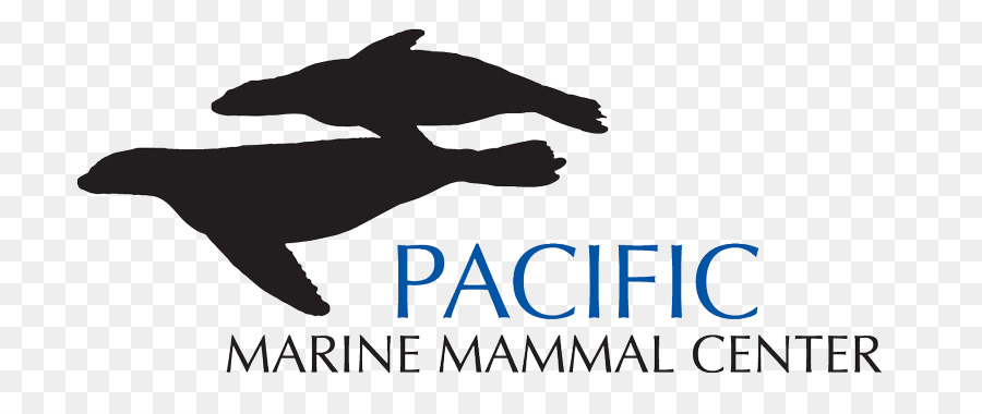 Des Mammifères Marins Du Pacifique Centre，Centre Des Mammifères Marins PNG