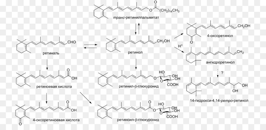 Structure Chimique，Chimie PNG