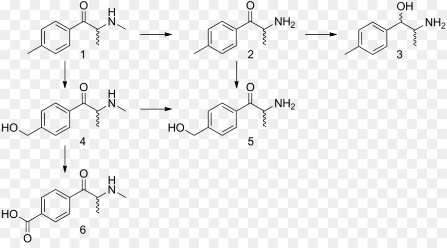La Phénylalanine，Phénéthylamine PNG