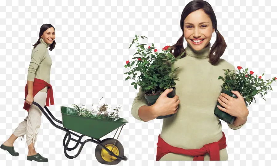 Femme Avec Des Plantes，Jardinage PNG