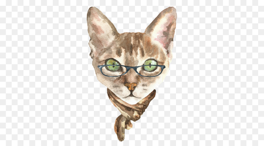 Chat Avec Des Lunettes，Animal De Compagnie PNG