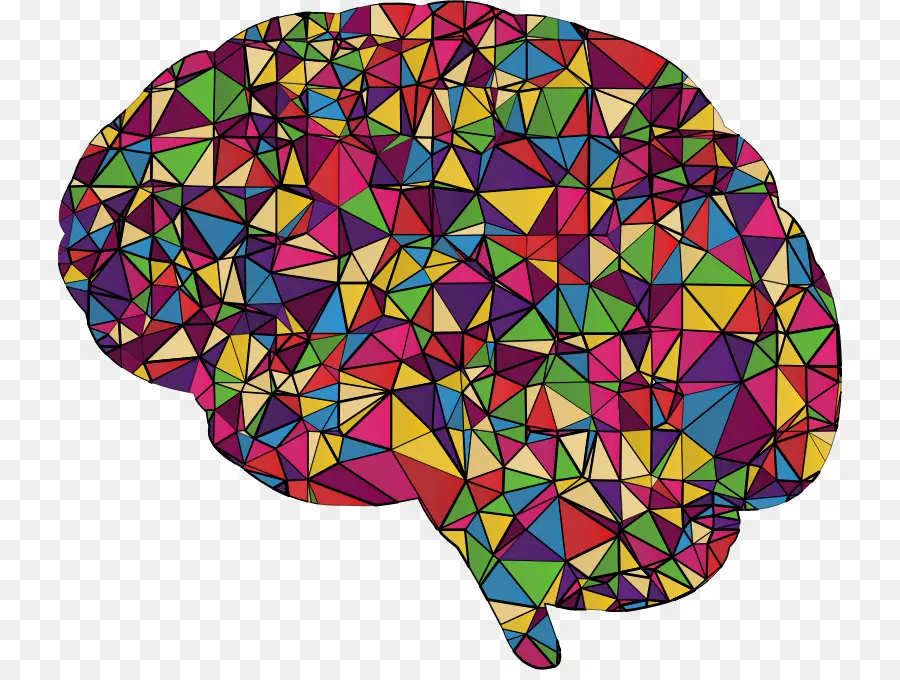 Cerveau Coloré，Coloré PNG