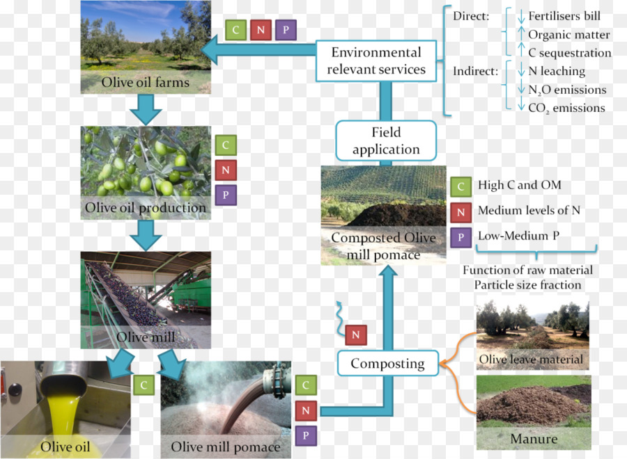 Organigramme，Processus PNG