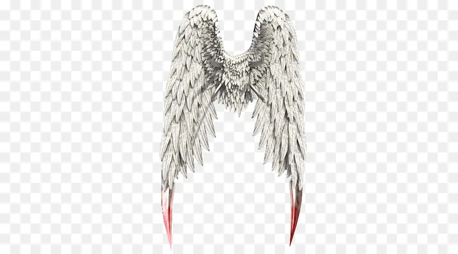 Ailes D'ange，Plumes PNG