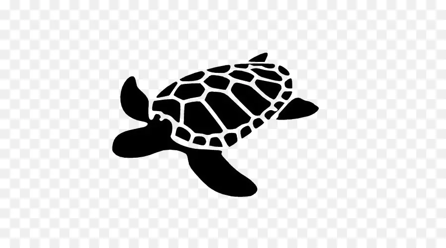 Tortue Noire，Mer PNG