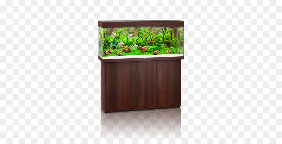 Aquarium，Eau PNG