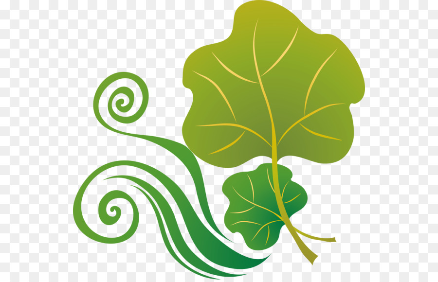 Feuilles，Vert PNG