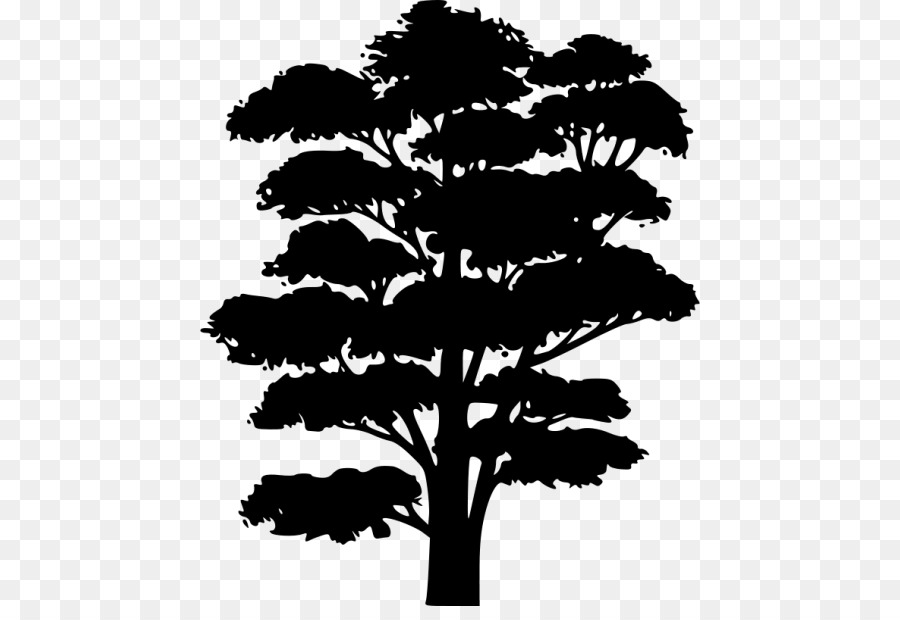 Silhouette D'arbre，Usine PNG