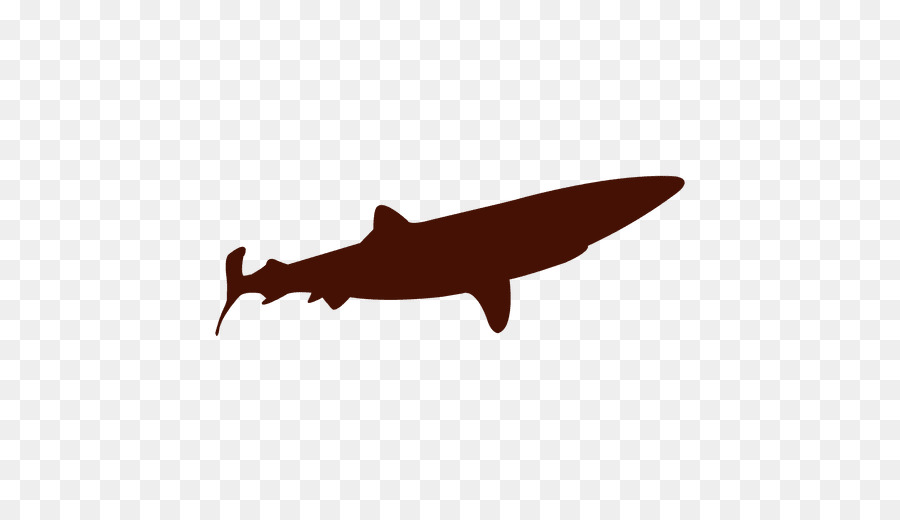 Requin，Ombre PNG