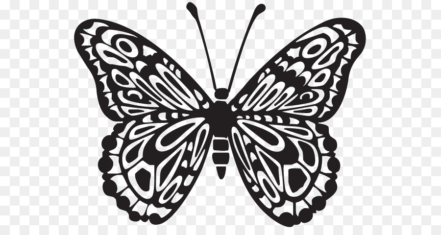 Papillon Noir Et Blanc，Ailes PNG