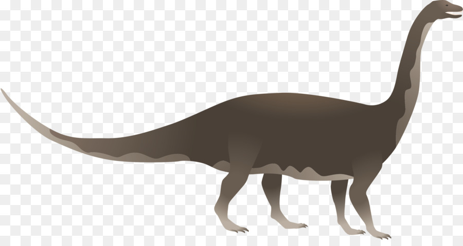 Riojasaurus，Animal PNG
