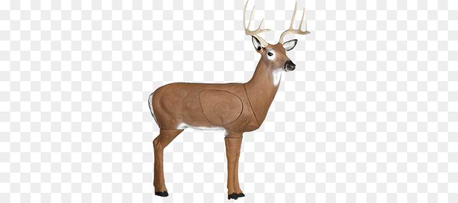 Cerf，Whitetailed Cerf PNG