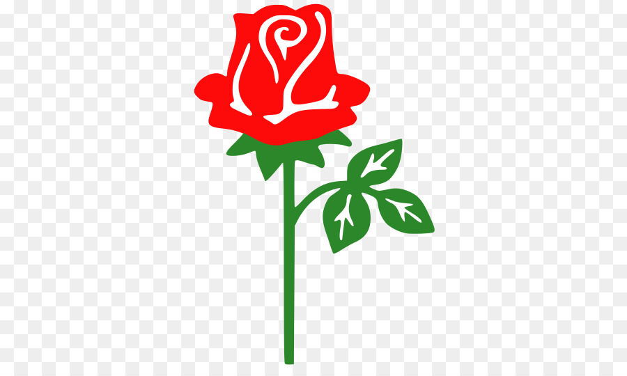 Rose，Rouge PNG