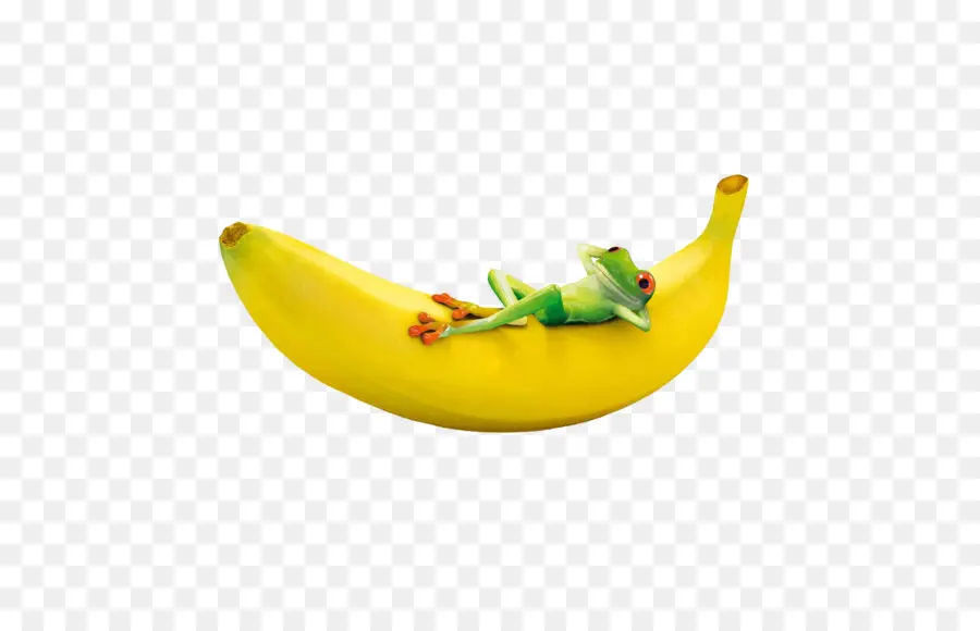 Grenouille，Banane PNG