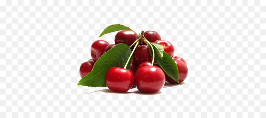 Cerises，Tige PNG