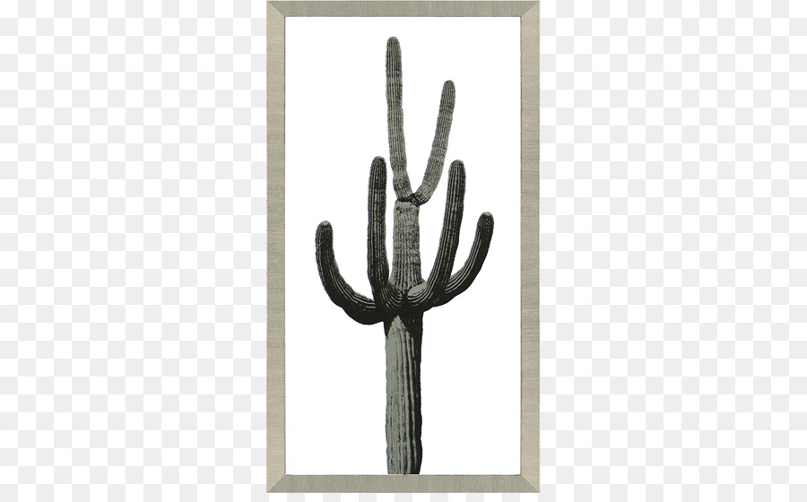 Cactacées，Saguaro PNG