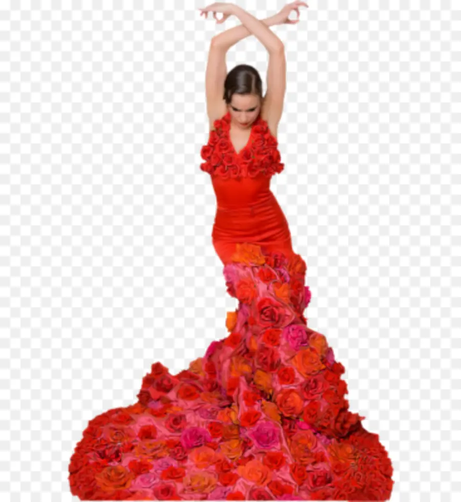 Flamenco，Robe De Flamenco PNG