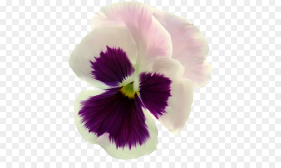 Fleurs Violettes，Fleurir PNG