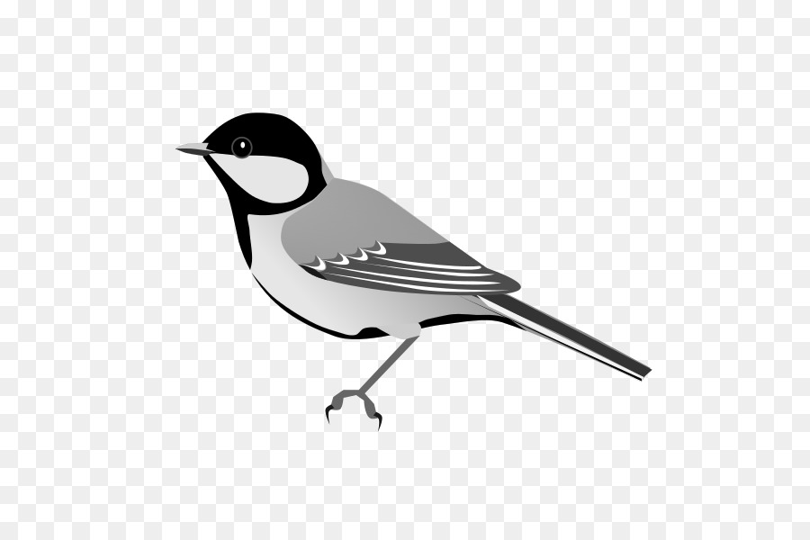 Illustration D'oiseau，Moineau PNG