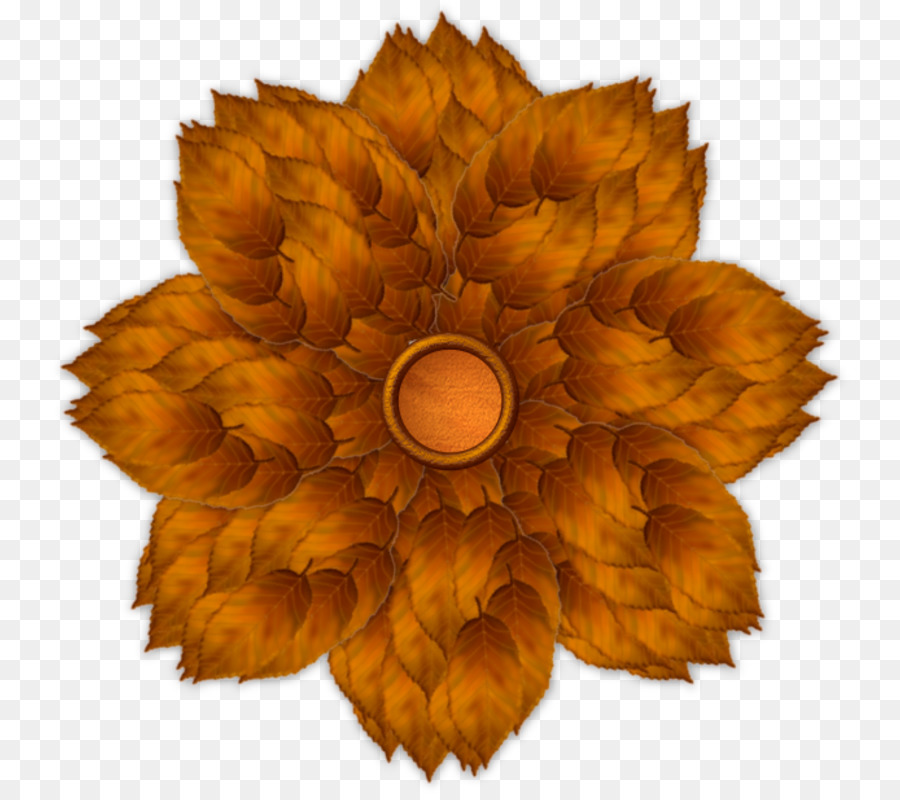 Fleur，Blume PNG