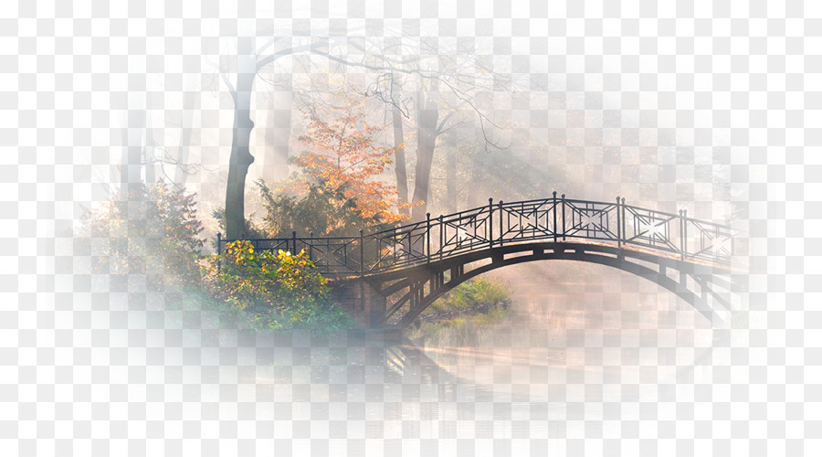 Pont D'automne，Arbres PNG