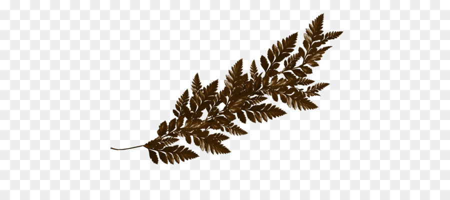 Feuille D'or，Feuille PNG