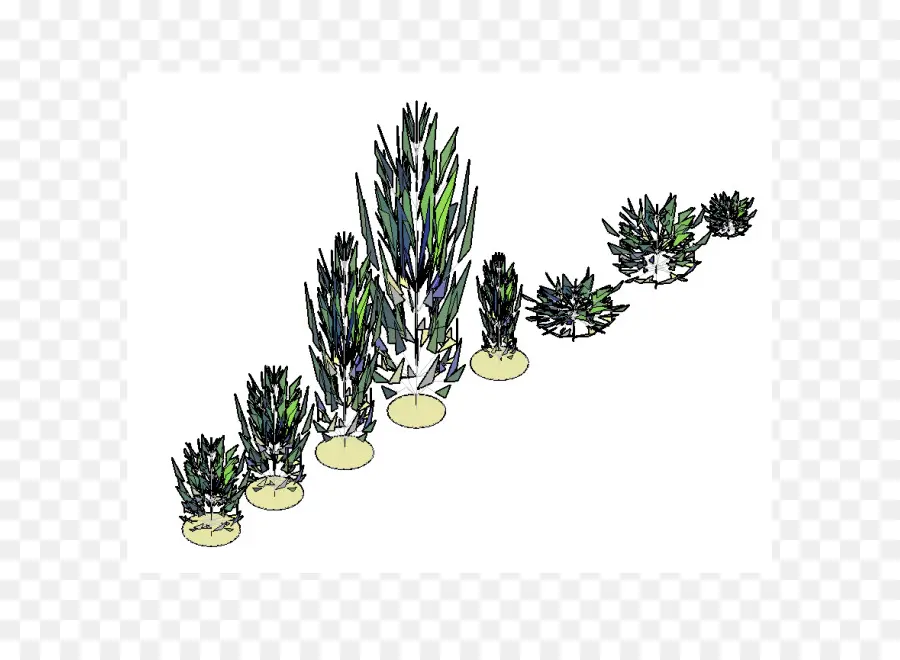 Plantes，Vert PNG