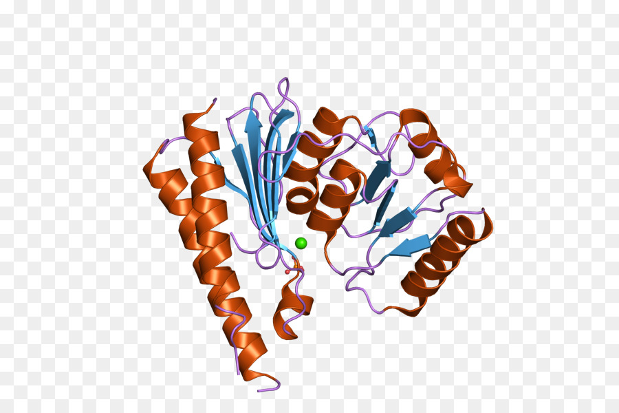 Inositol Monophosphatase 2，Inositol Monophosphatase PNG