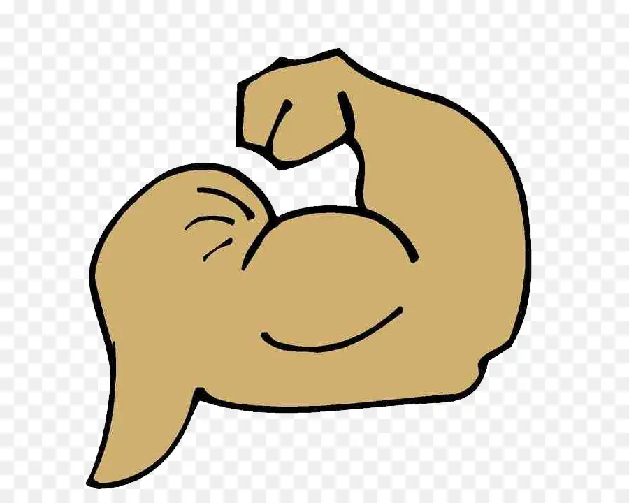 Bras Fléchi，Muscle PNG