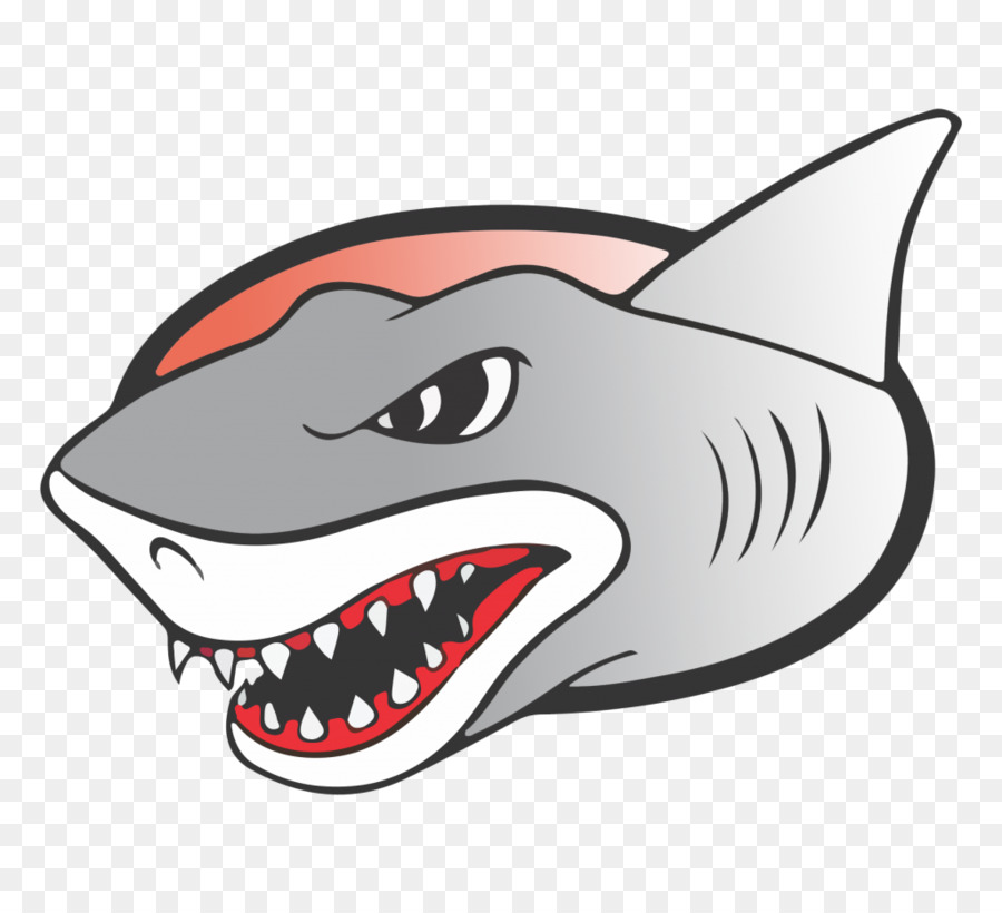 Requin Avec Des Lunettes，Dessin Animé PNG