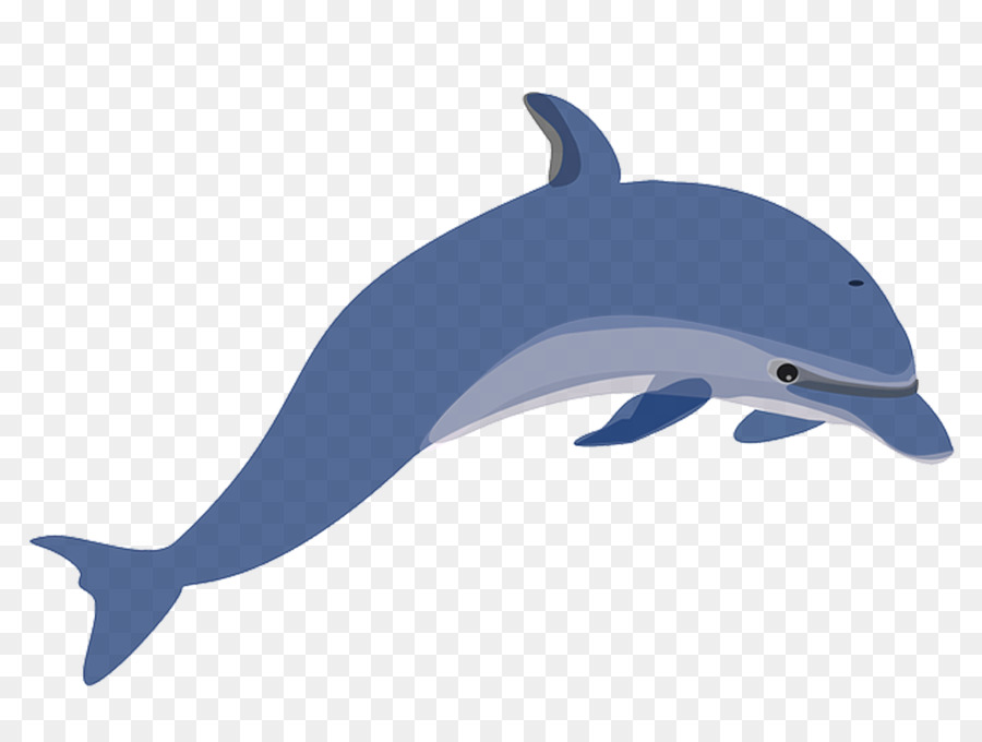 Dauphins De Dessin Animé，Marin PNG