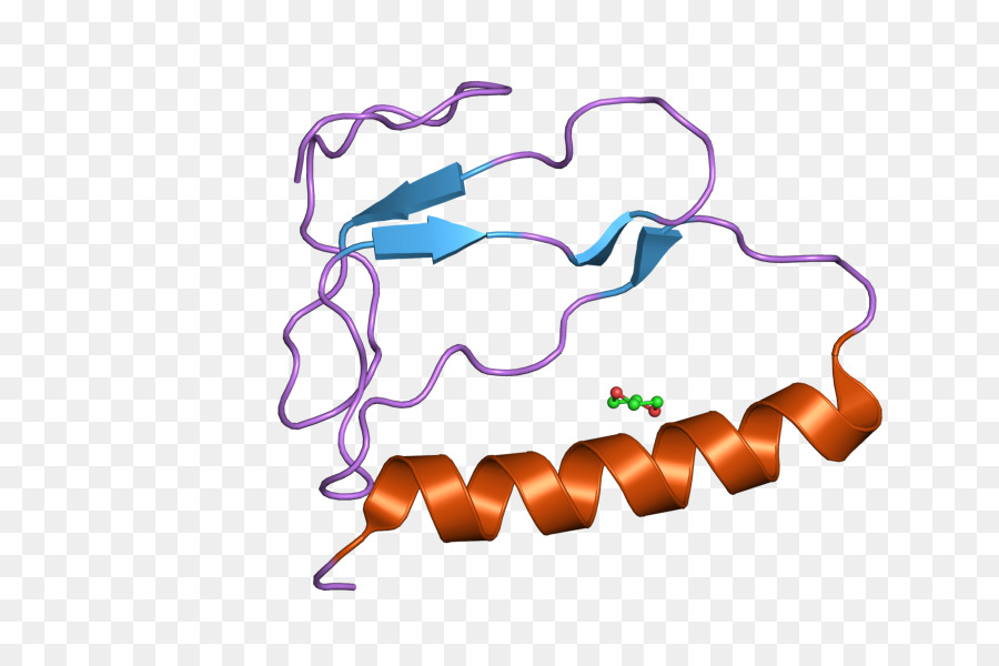 Structure Des Protéines，Molécule PNG