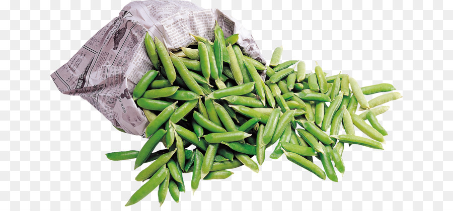 Haricots Verts，Le Haricot Commun PNG