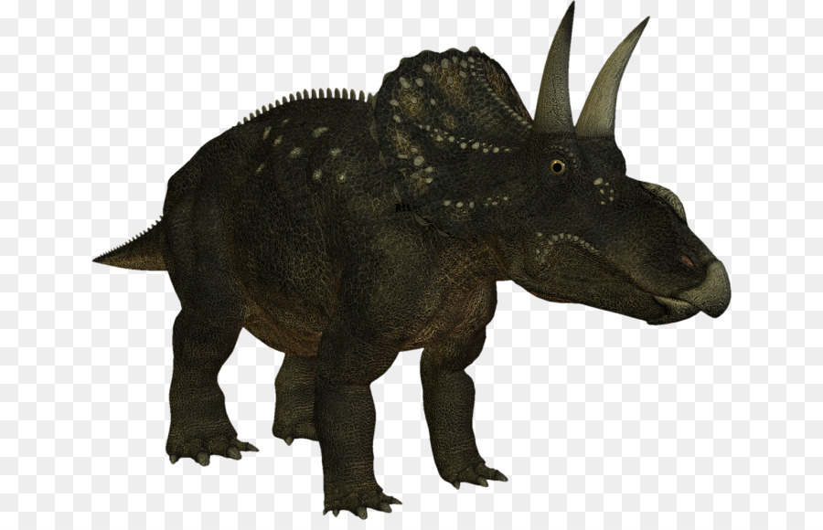 Torosaurus，Iguanodon PNG