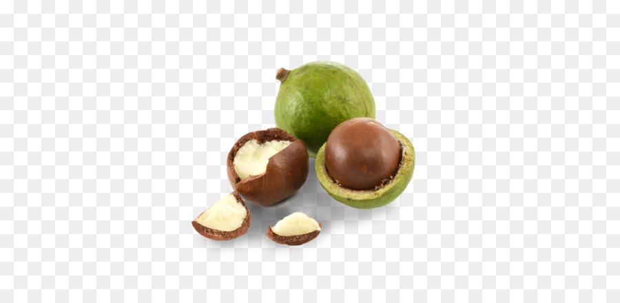 Noix De Macadamia，Coquille PNG