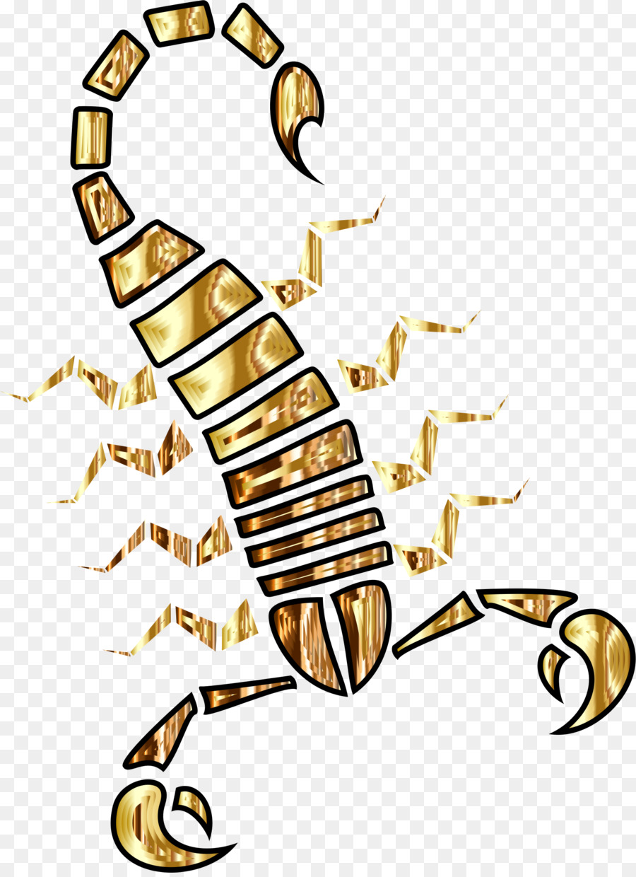 Scorpion，Insecte PNG