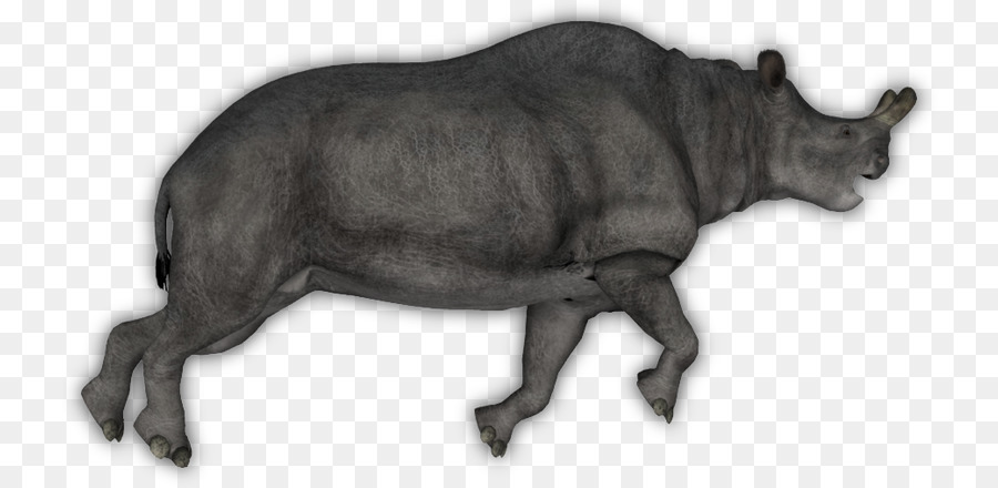 Les Bovins，Tapir PNG