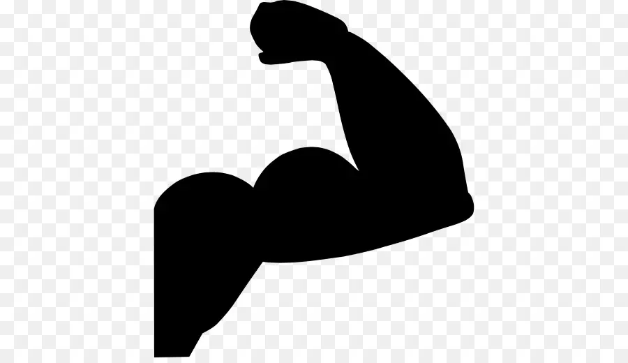 Bras，Muscle PNG